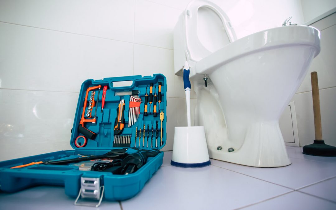 5 Signs That Your Toilet Needs Repair